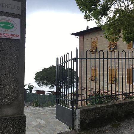 B&B Villa Orchidea Camogli Eksteriør billede