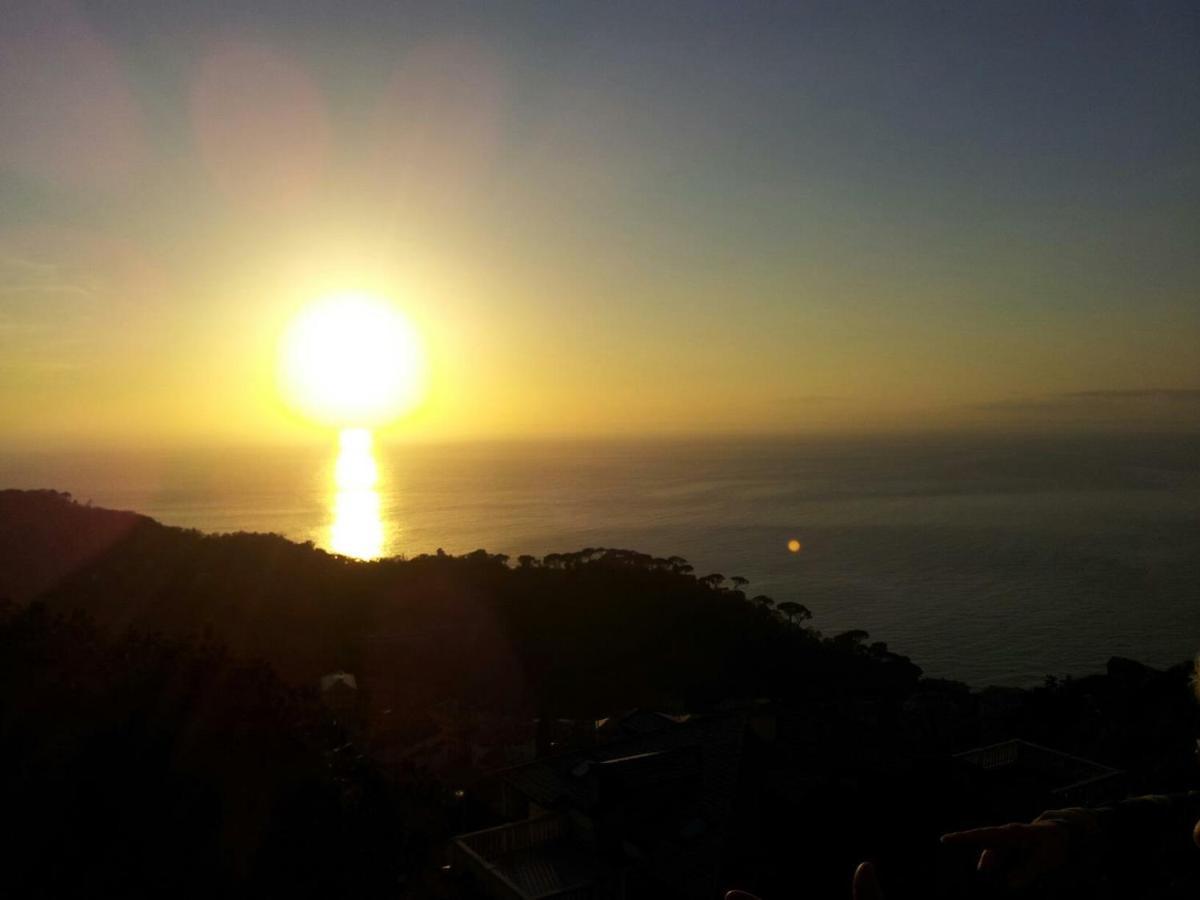 B&B Villa Orchidea Camogli Eksteriør billede