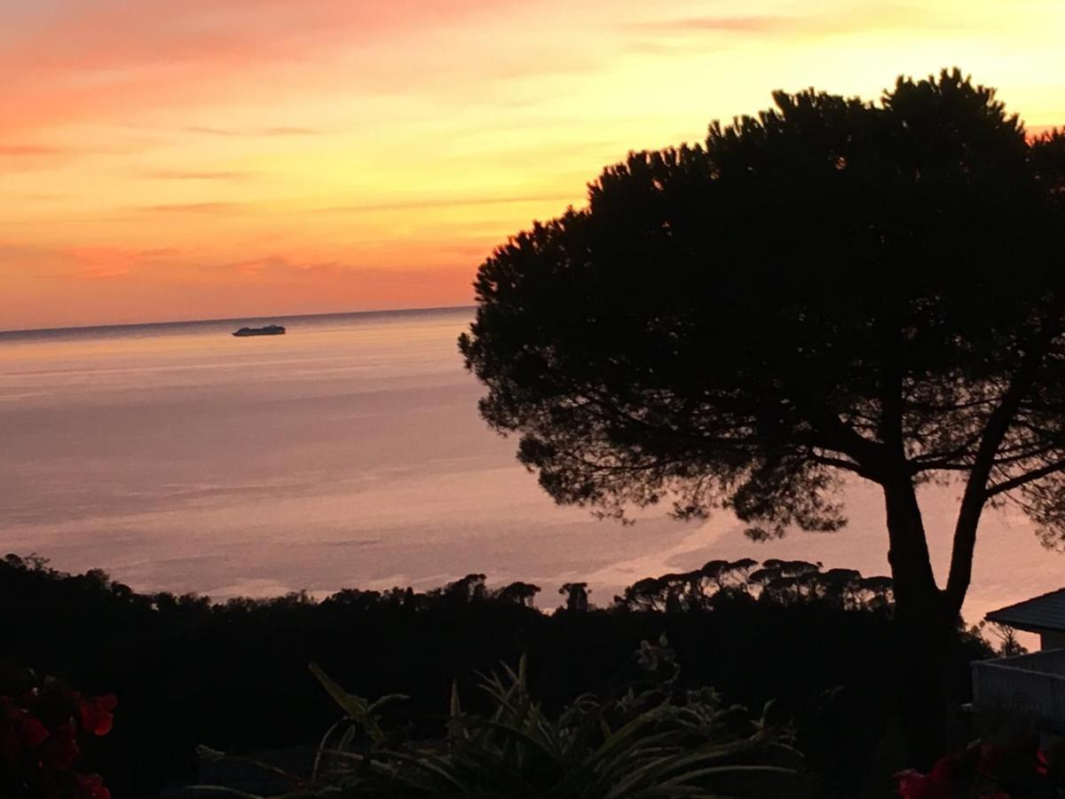 B&B Villa Orchidea Camogli Eksteriør billede