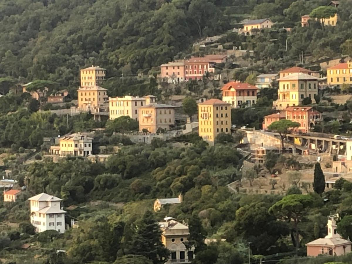 B&B Villa Orchidea Camogli Eksteriør billede